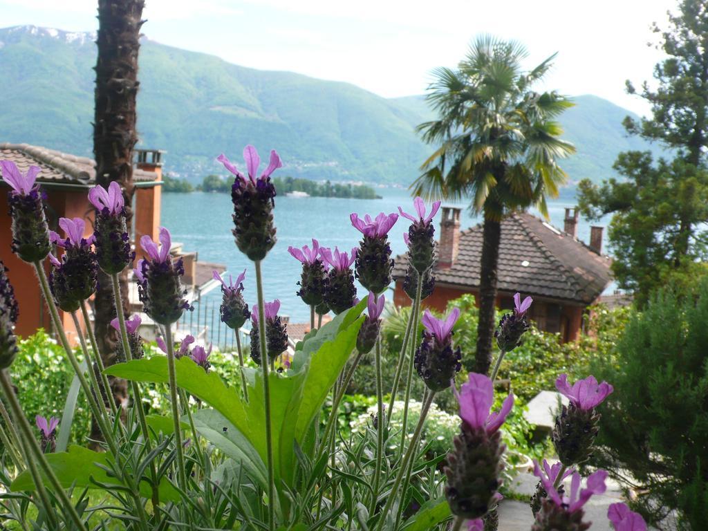 Casa Eva Apartamento Ronco sopra Ascona Exterior foto